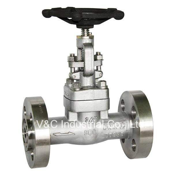 Flanged Forged Stainless Steel Gate Valve