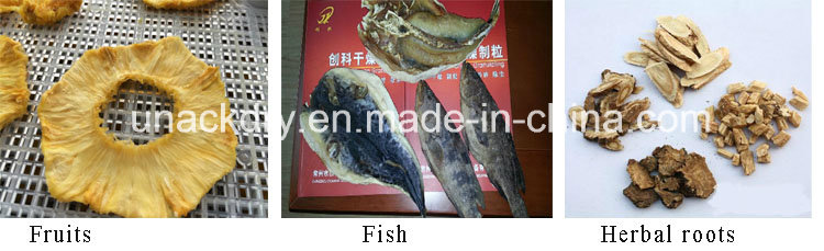 Stainless Steel Fish Drying Oven