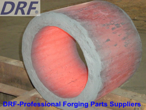 Forging Part (Ring forging stainless steel)