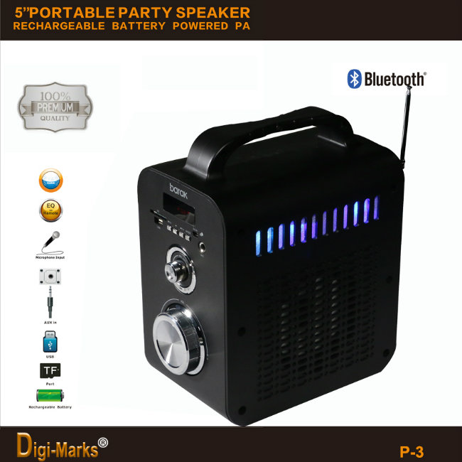 Best-Seller Portable Wireless LED Stage Stereo Radio FM Bluetooth Speaker