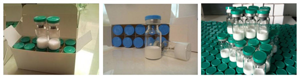 99% Purity USP Peptides Bodybuilding 2mg Mgf Powder