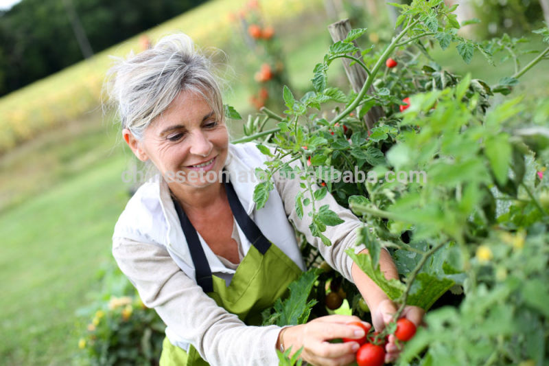 Double Concentrated and Organic Vego Sachet Packaging Tomato Paste for Africa