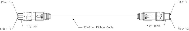 MPO Multimode Singlemode Fiber Optic Patch Cord