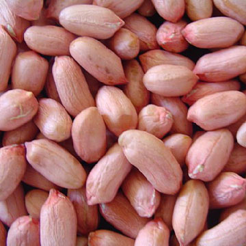 High Quality Peanut Kernels with Red Skin