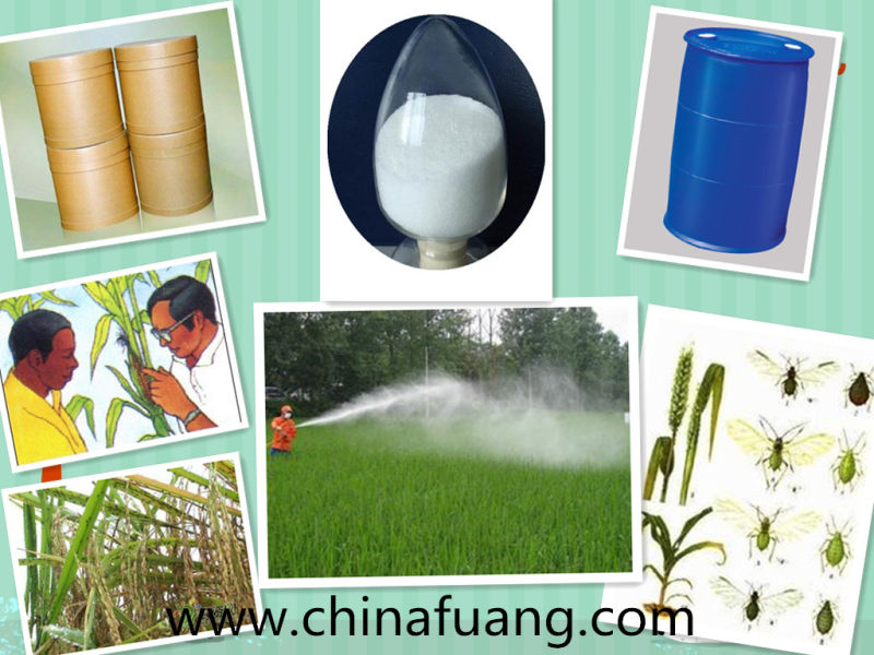 Agrochemicals Insecticide Pesticide 98% Tc, 25g/L Ec, 2.5%Wp, 5%Wp Deltamethrin