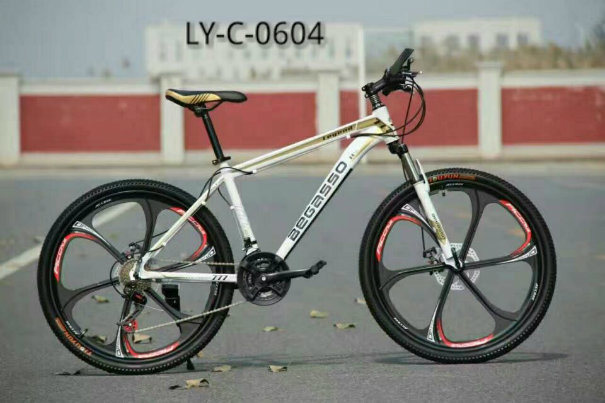 Ly-C-0604 Cool Mountain Bicycles for Cool Adult