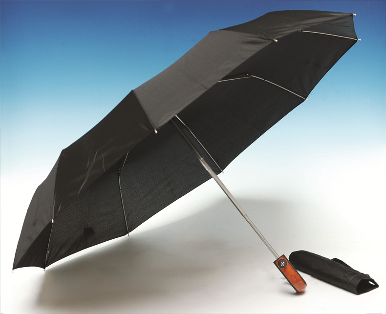 Auto Open and Close Black 3 Fold Umbrella (SK-020)