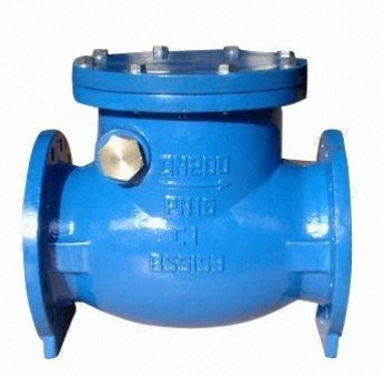 Used Non Return Check Valve