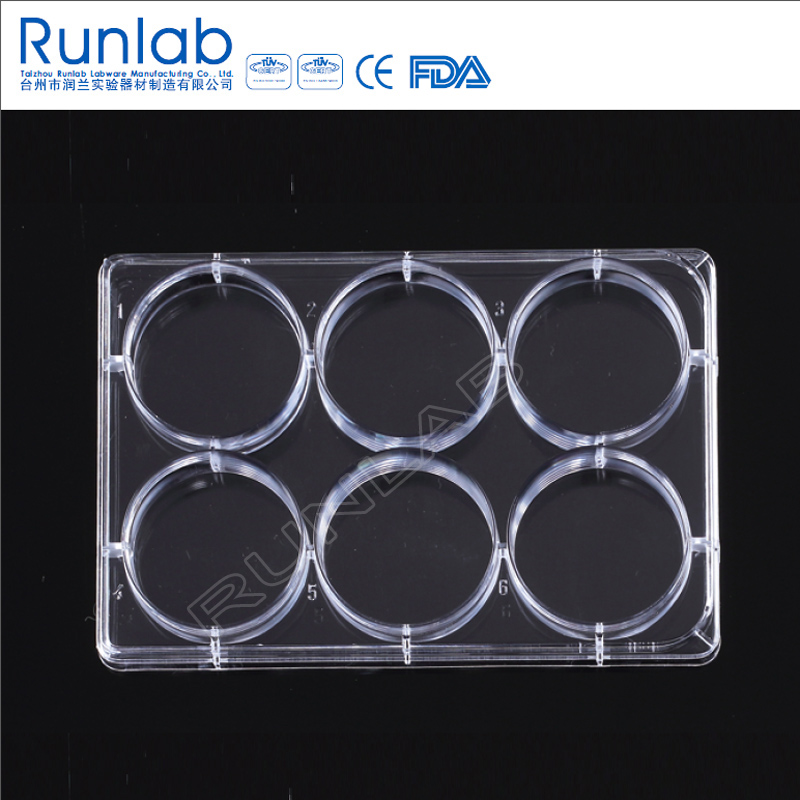 CE Marked 6-Well Flat Bottom Culture Plate