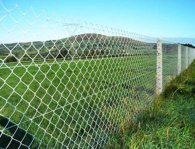 China Supplier Chain Link Fence