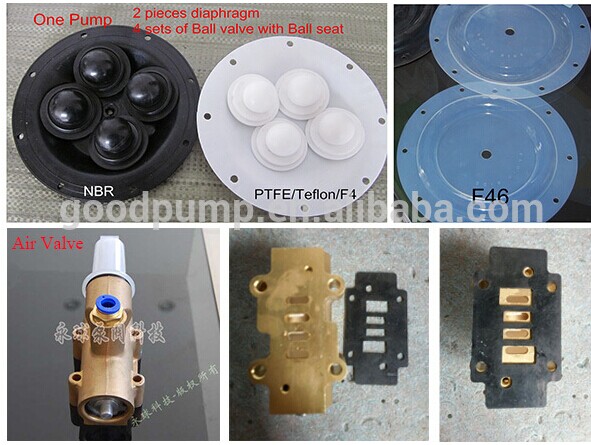 Aoddp Diaphragm Pump for Various Liquid Transfer