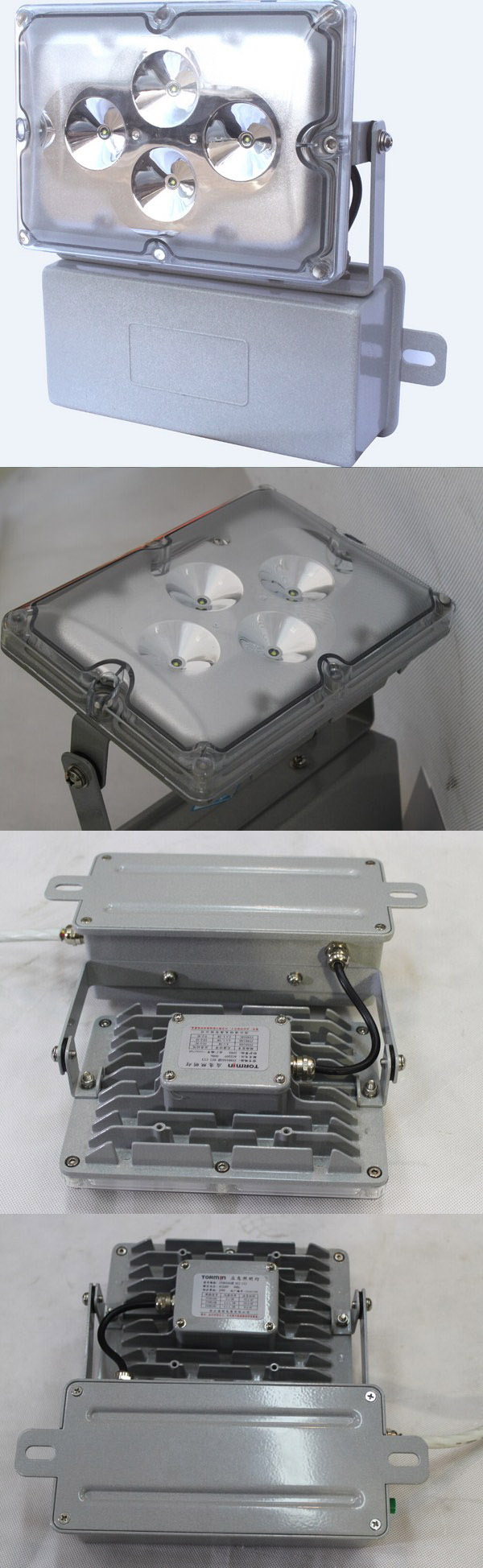 CREE LED Emergency Floodlight Lamp/Tunnel Light Lamp (ZY8810)