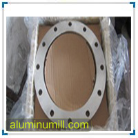 Aluminum B247 B221 6061 T6 Slip on Flange