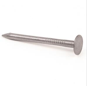 Electroplated Zinc Plated Smooth Shank Common Nail