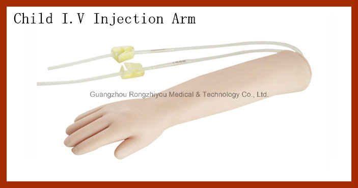 Advanced Elder Venipuncture Training Arm Model, Elder Injection Arm