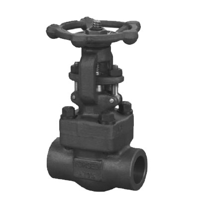 Forged Steel Flange End Gate Valve