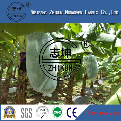 High Quality and Cheap PP Polypropylene Non-Woven Fabric for Agriculture