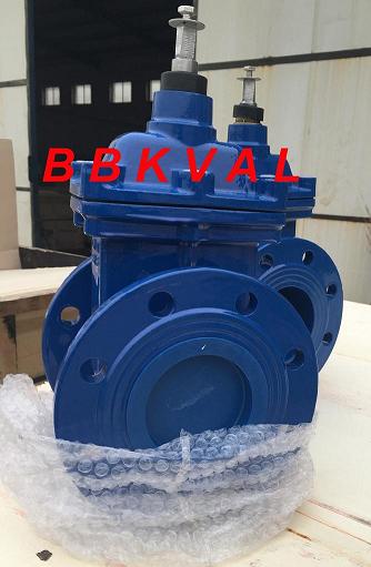 Resilient Gate Valve