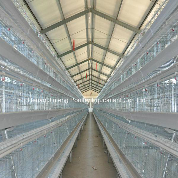 Chicken Cage Henhouse Poultry Equipment Chicken Cage Henhouse Poultry Equipment