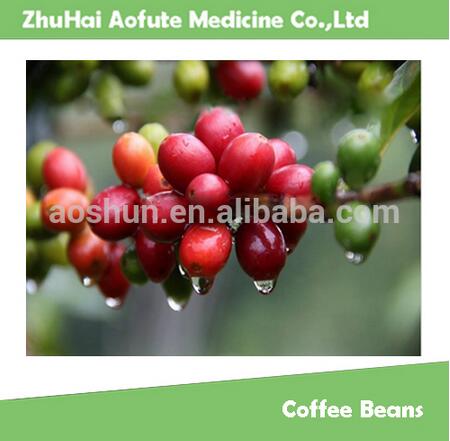 Yunnan Arabica Coffee