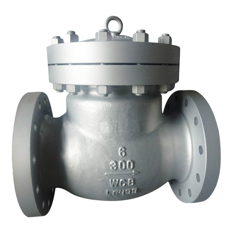 ANSI Flanged Swing Check Valve with Cast Steel