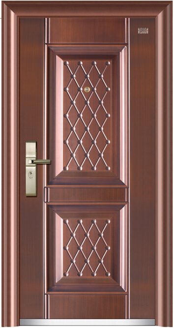 New Design Steel Door