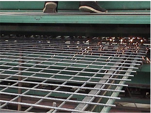 Welded Wire Mesh Galvanized Anping Facotry Supply