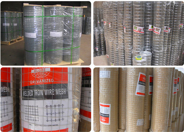 Direct Factory of Galvanized / PVC Coated Welded Wire Mesh with Lower Price