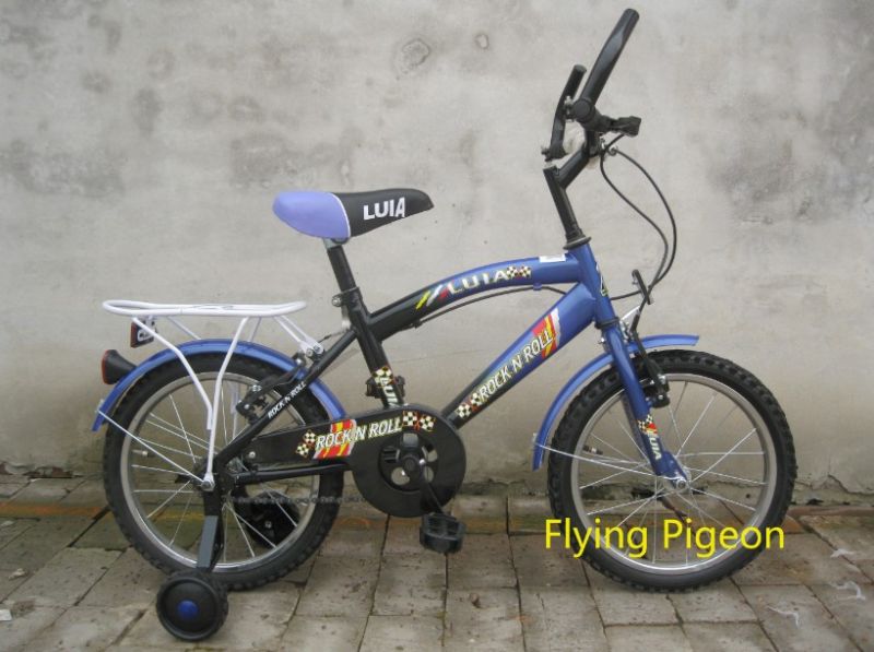 2014 New Child Beach Bike Mountain Bicycle (FP-KDB050)