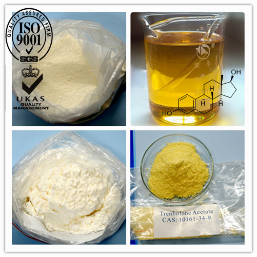 99% Purity Anabolic Steroid Powder Boldenone Acetate for Building Muscle