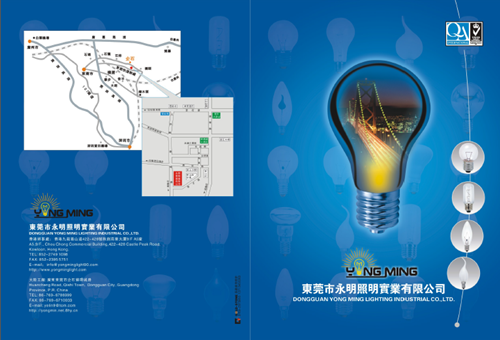 C35 Non-Dimmable LED Bulb with China Factory Direct Sell