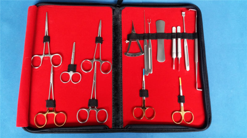 Double Eyelid Blepharoplasty Ophthalmic Instrument Set