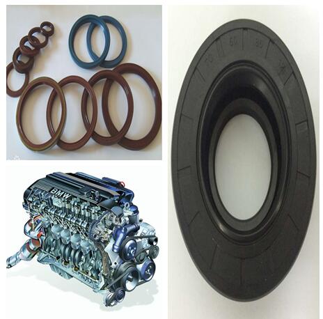 Motor Car Oil Seal Frame