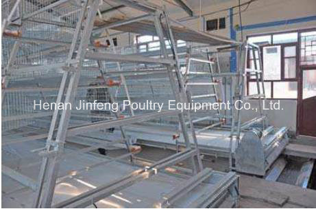 a Type Automatic Poultry Chicken Equipment for Chicken Birds Broiler Pullet