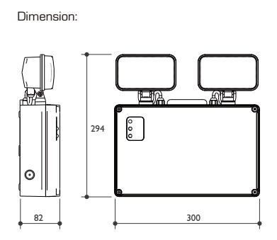 IP65 LED Twin Spot Light, Emergneyc Light