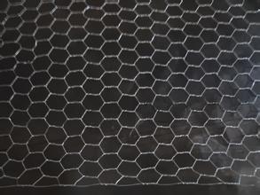 Common Hexagonal Animal Mesh Wire Mesh