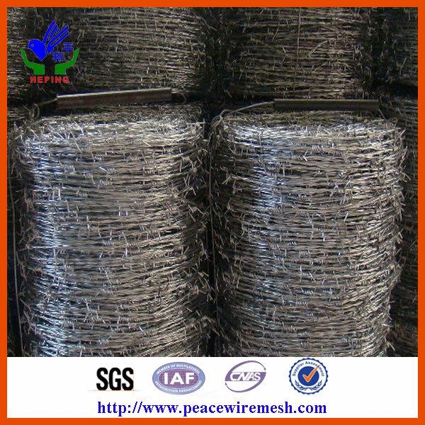 Galvanized Barbed Wire Fence Manufacturer (EBW-15)