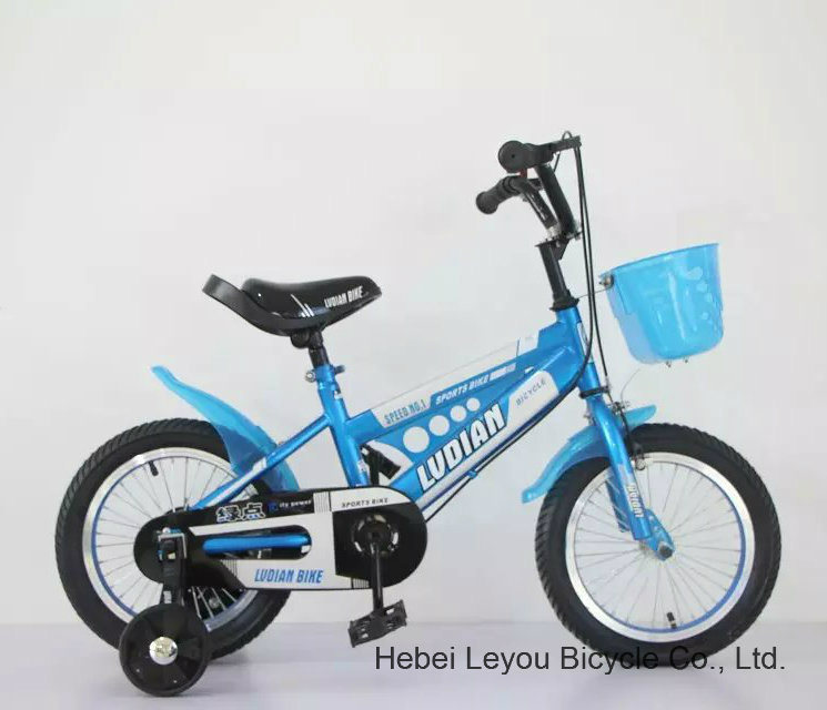 Children Bicycle for Cool Boys and Girls