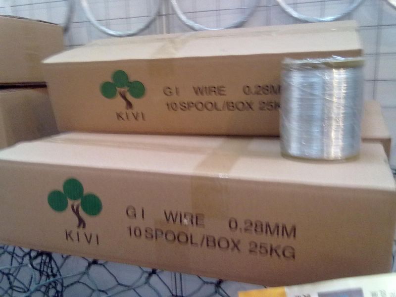 Spool Galvanized Iron Wire 25kg/Carton