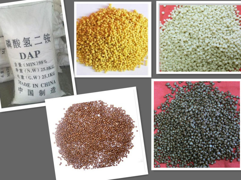 DAP Diammonium Phosphate Fertilizer Grade, DAP