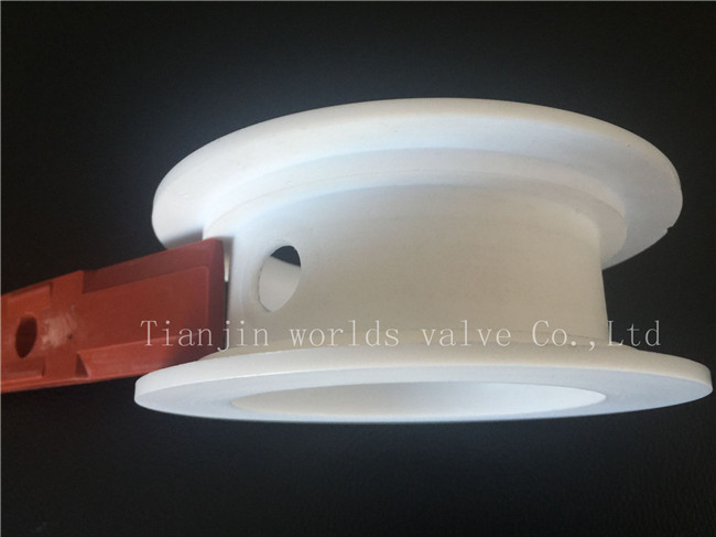 Soft Seat for Butterfly Valve (WDS)