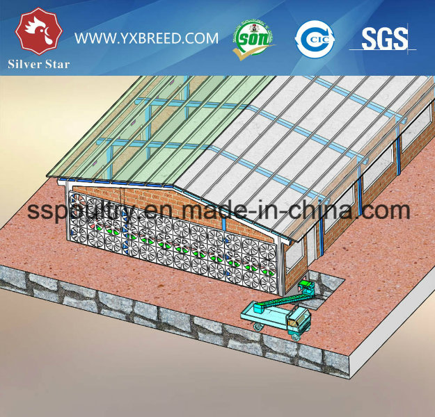 Bird Cage for Layer or Broiler in India