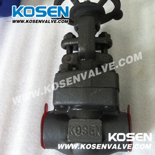 Forged Bronze Gate Valve (Z11T)