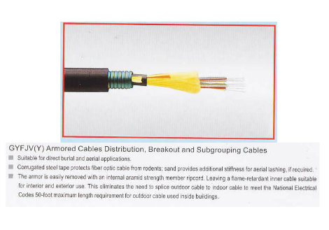 6 Fiber Armored Cable