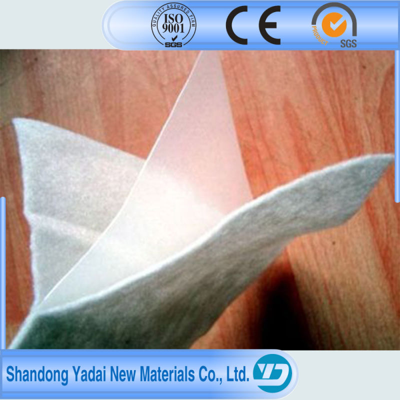 Ce Approved Compound Geomembrane Fabric for Sale Membrane