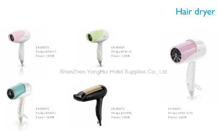 Wall Mounted Hotel Hair Dryer with Shaver Socket 110V and 220V