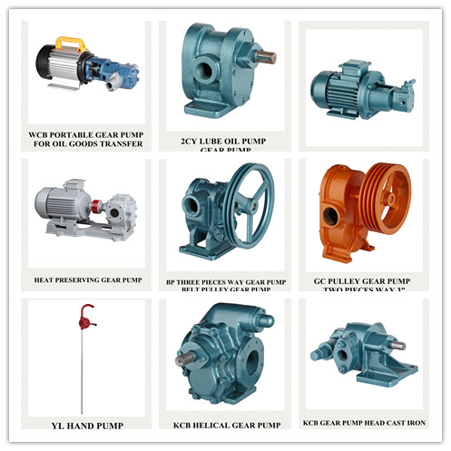 Lube Oil Transfer Pump -- Two Helical Gears