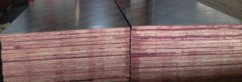 20*610*2500mm Finger Joint Recycle Film Faced Plywood for Israel Market