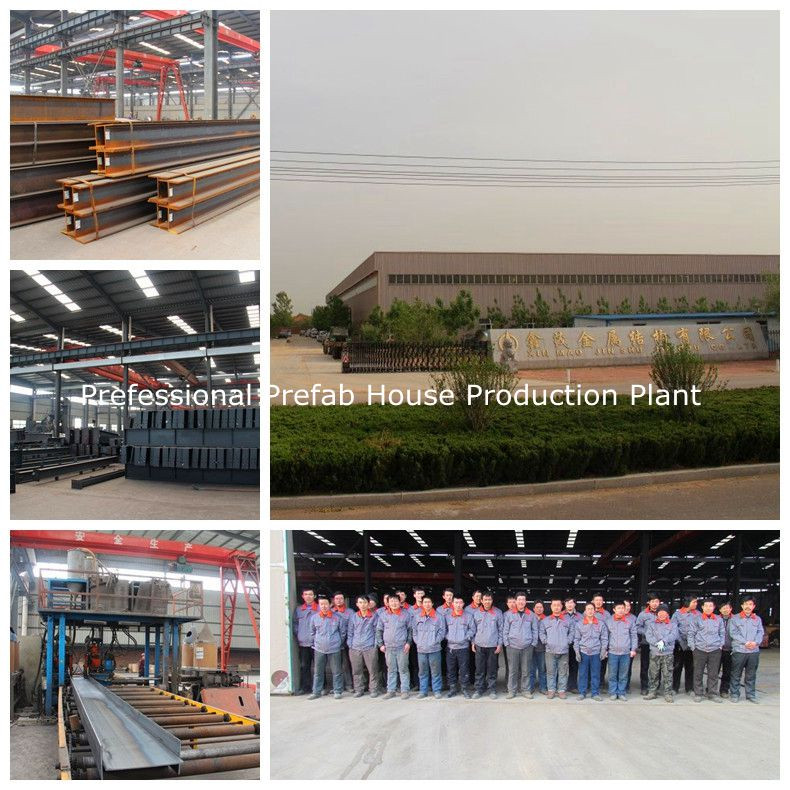 Qingdao Superherdsman Steel Structure Poultry Farm Construction