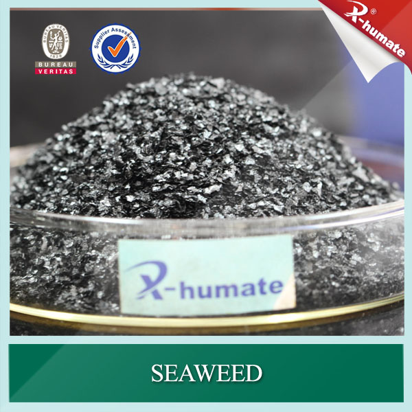 99.5% Min Seaweed Extract Black Flakes